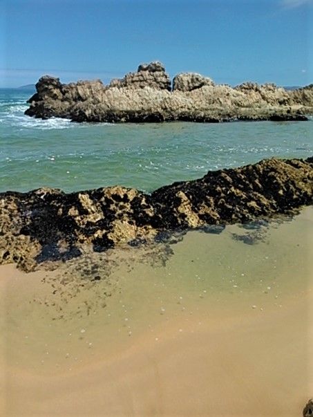 Quaint little pools all along the shoreline.