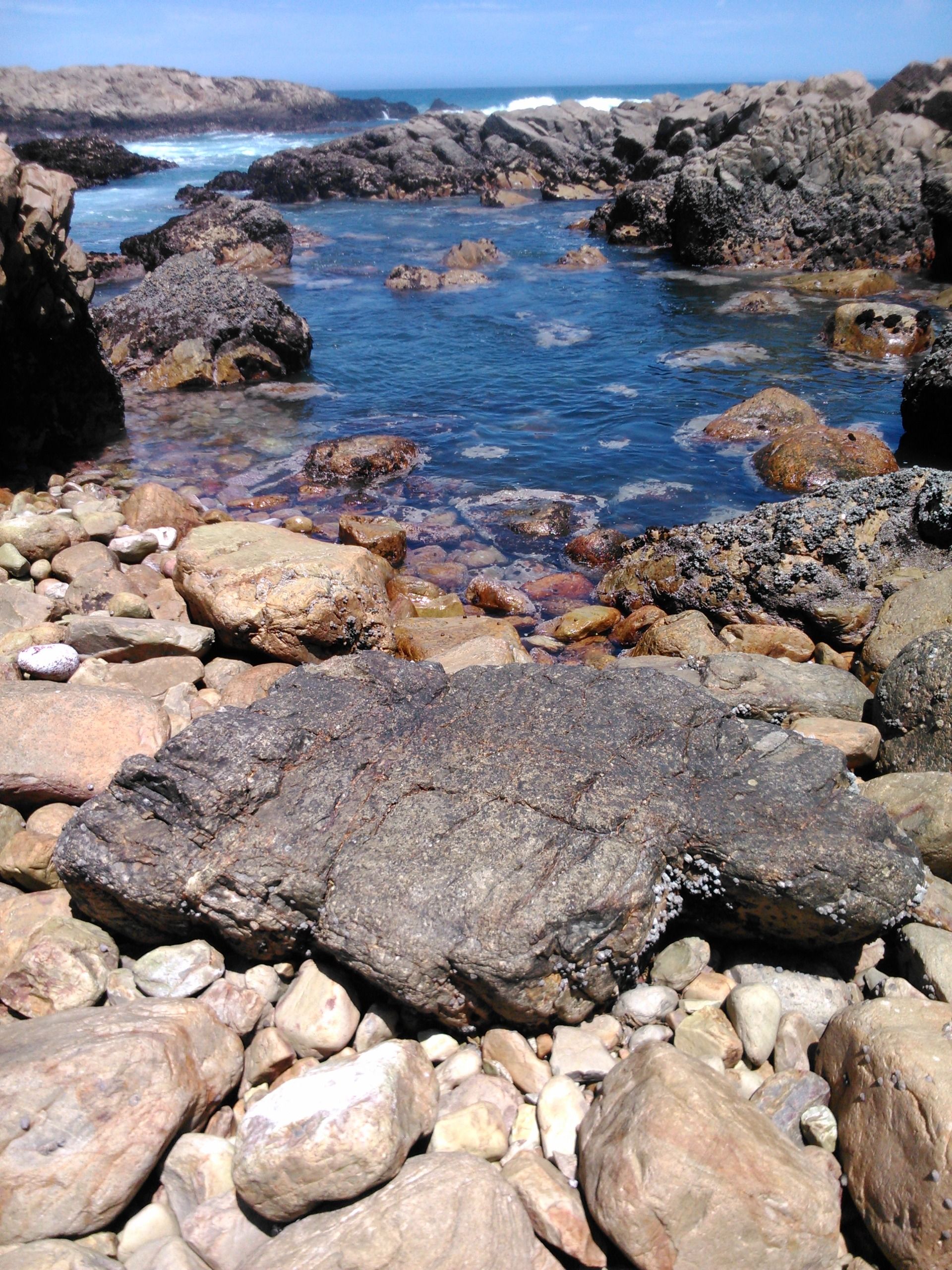 The still center of the universe on the south Cape coast of Africa