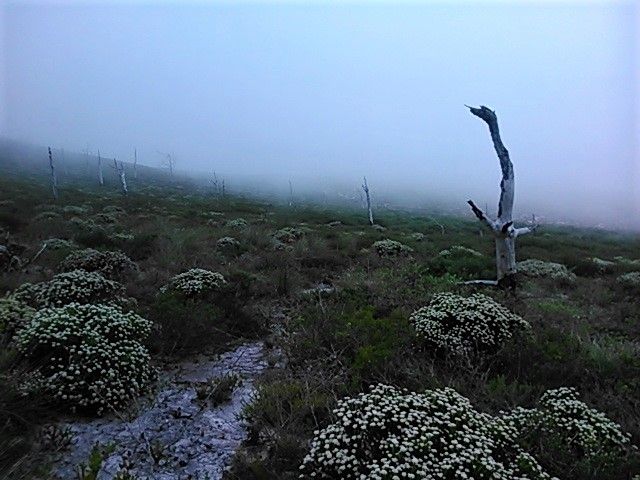 A surreal effect created by the overcast weather on the cliff tops