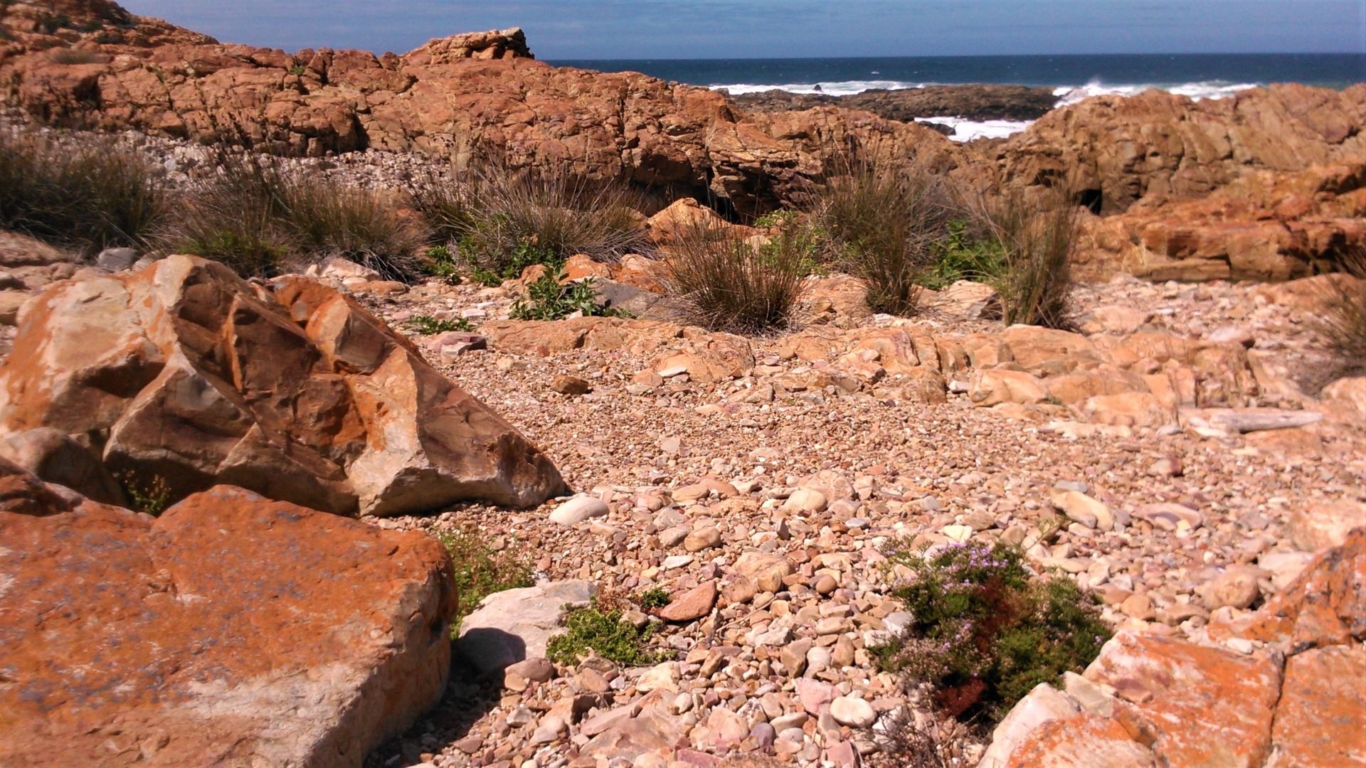 Arid shoreline landscape on the southernmost coast of Africa, looking south