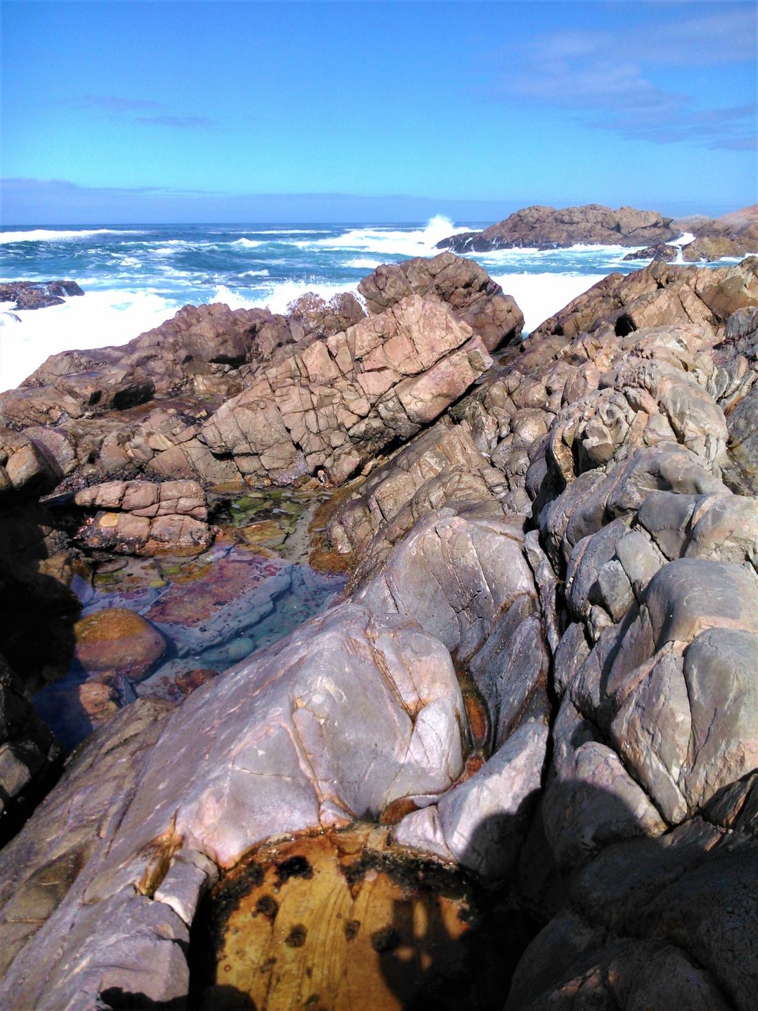 Pools of gold on the southernmost shoreline of Africa