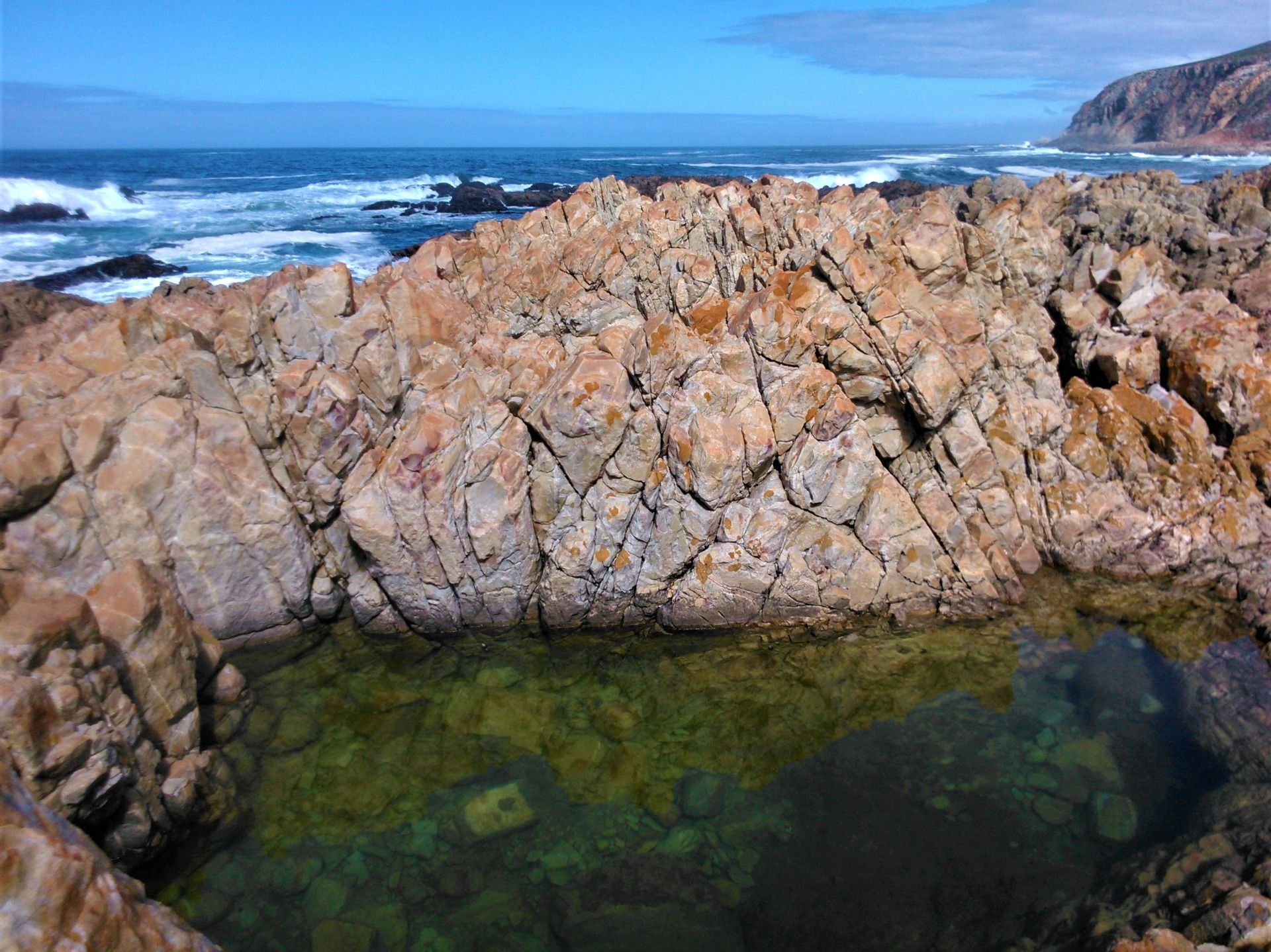 Something a little larger and right alongside the wild crashing surf