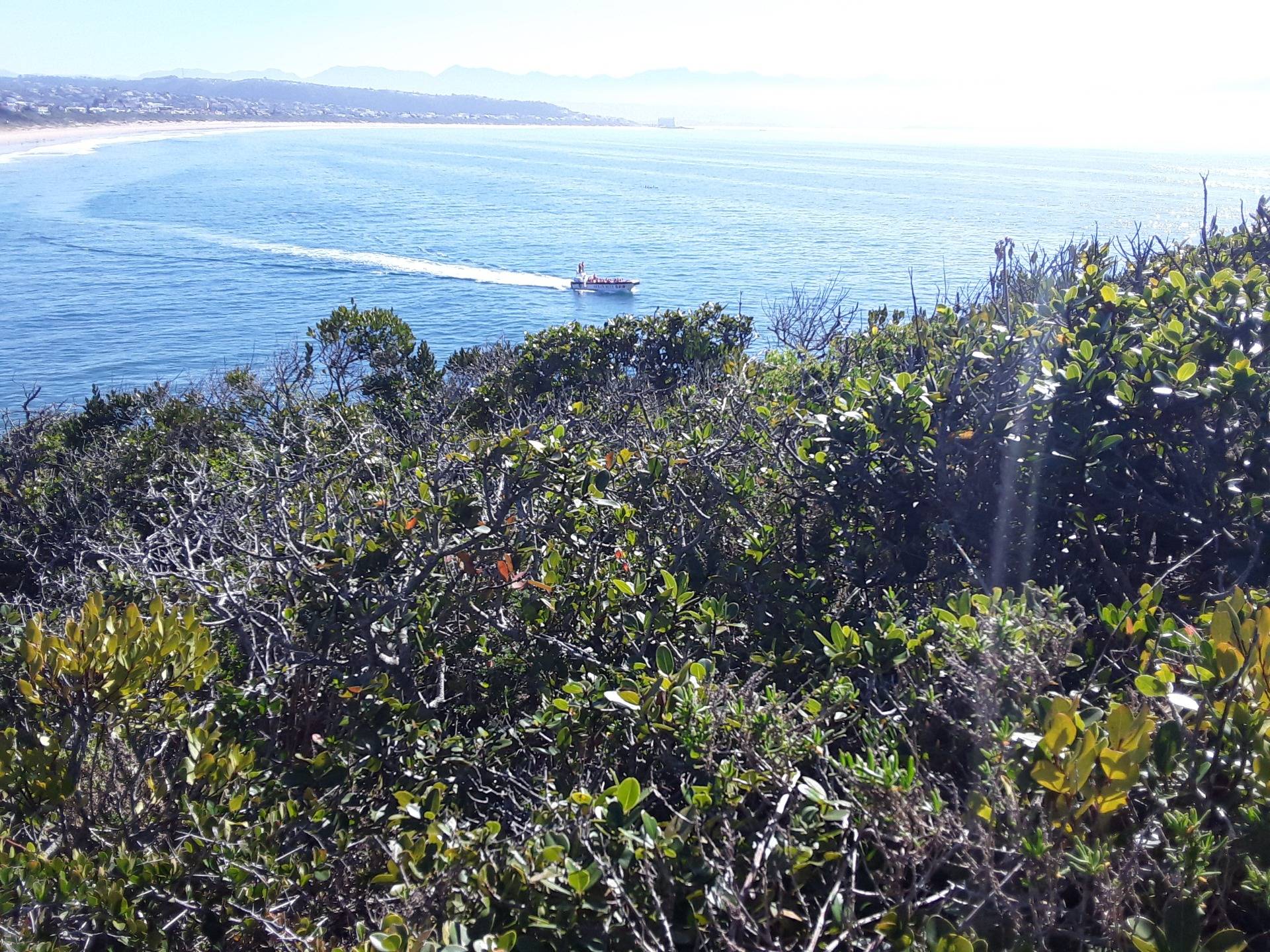 The charter boat arriving near the shores of the peninsula, taken from the cliff side above.