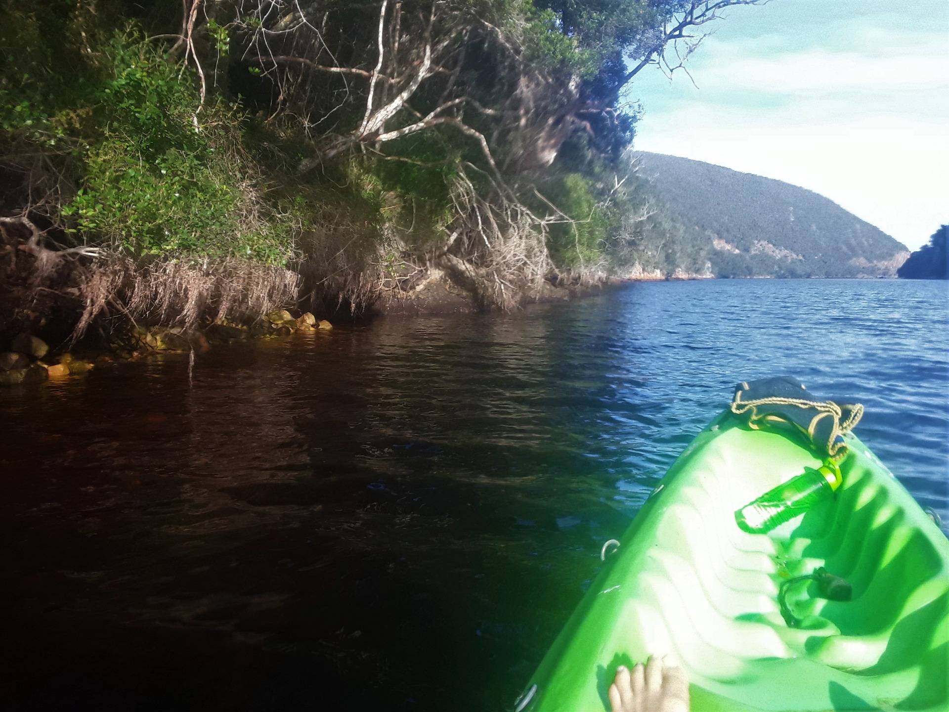 Paddling back toward the coast down river with epic vegetation on the cliff face either side of the river