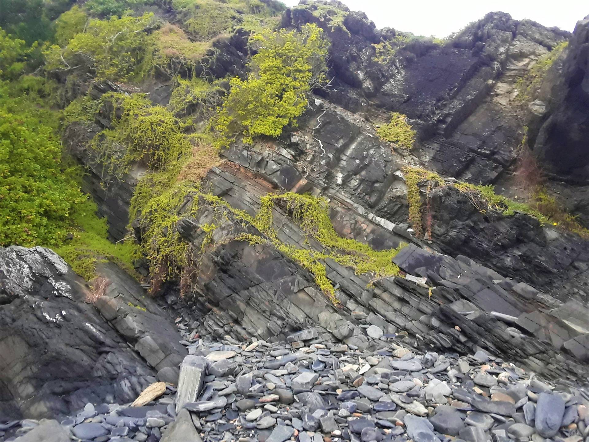 A dash of green from the prolific foliage that covers the granite rock right up to the beach