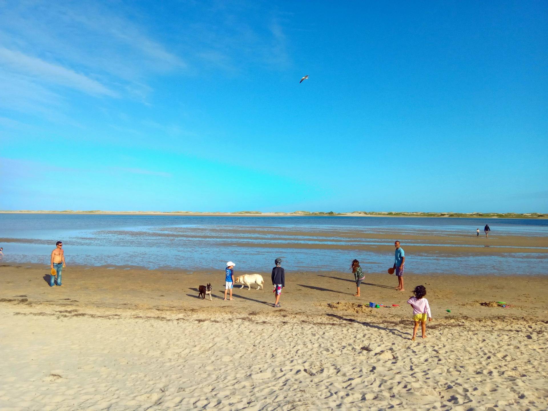 Low tide at Keurbooms lagoon makes for a safe family playground with the ocean just behind the dune in the background.