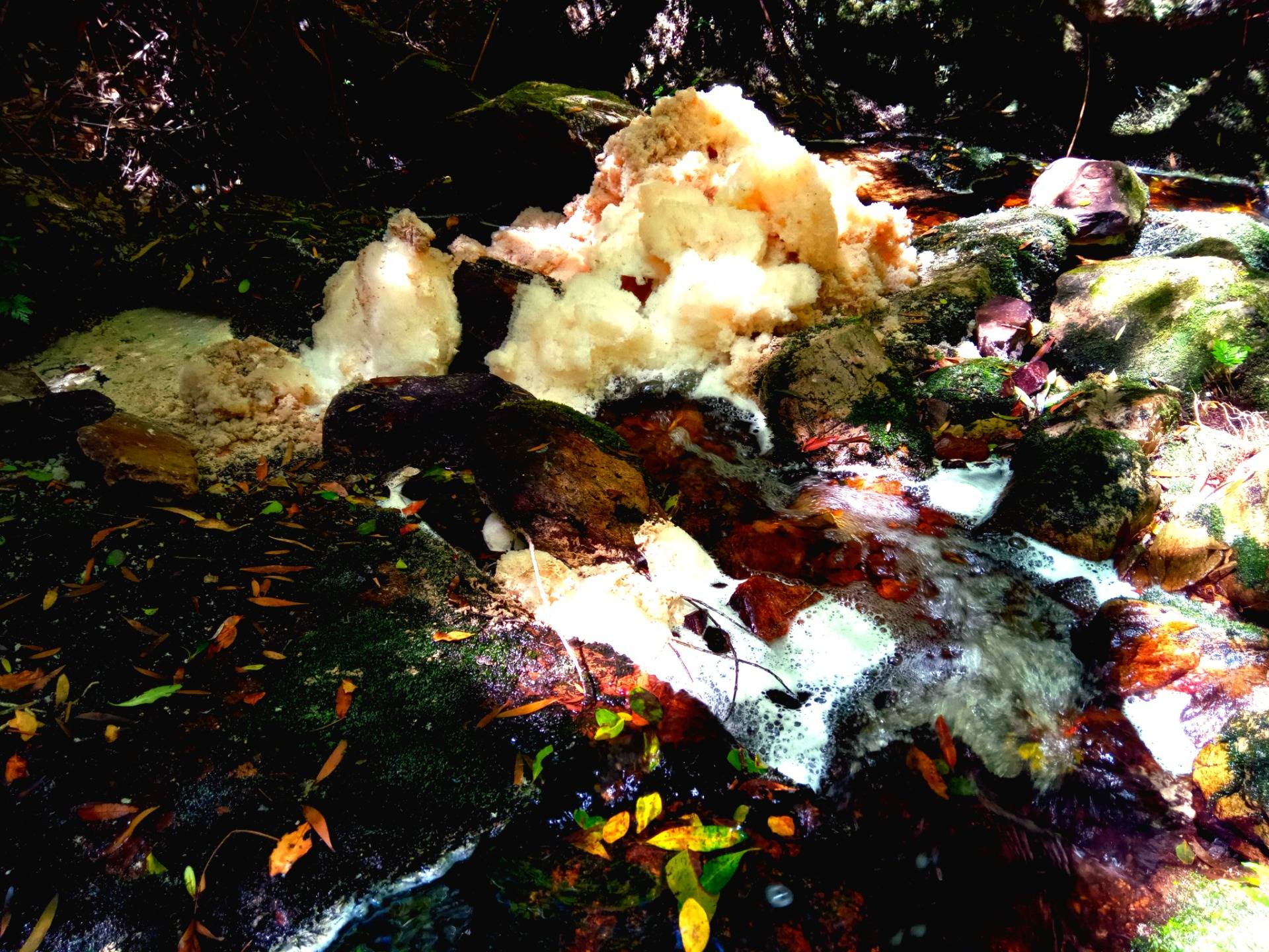 Exotic fluffy foam froth flowing on the forest floor.