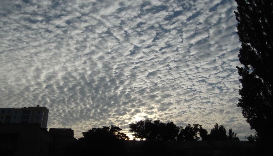 We admire the exhibition