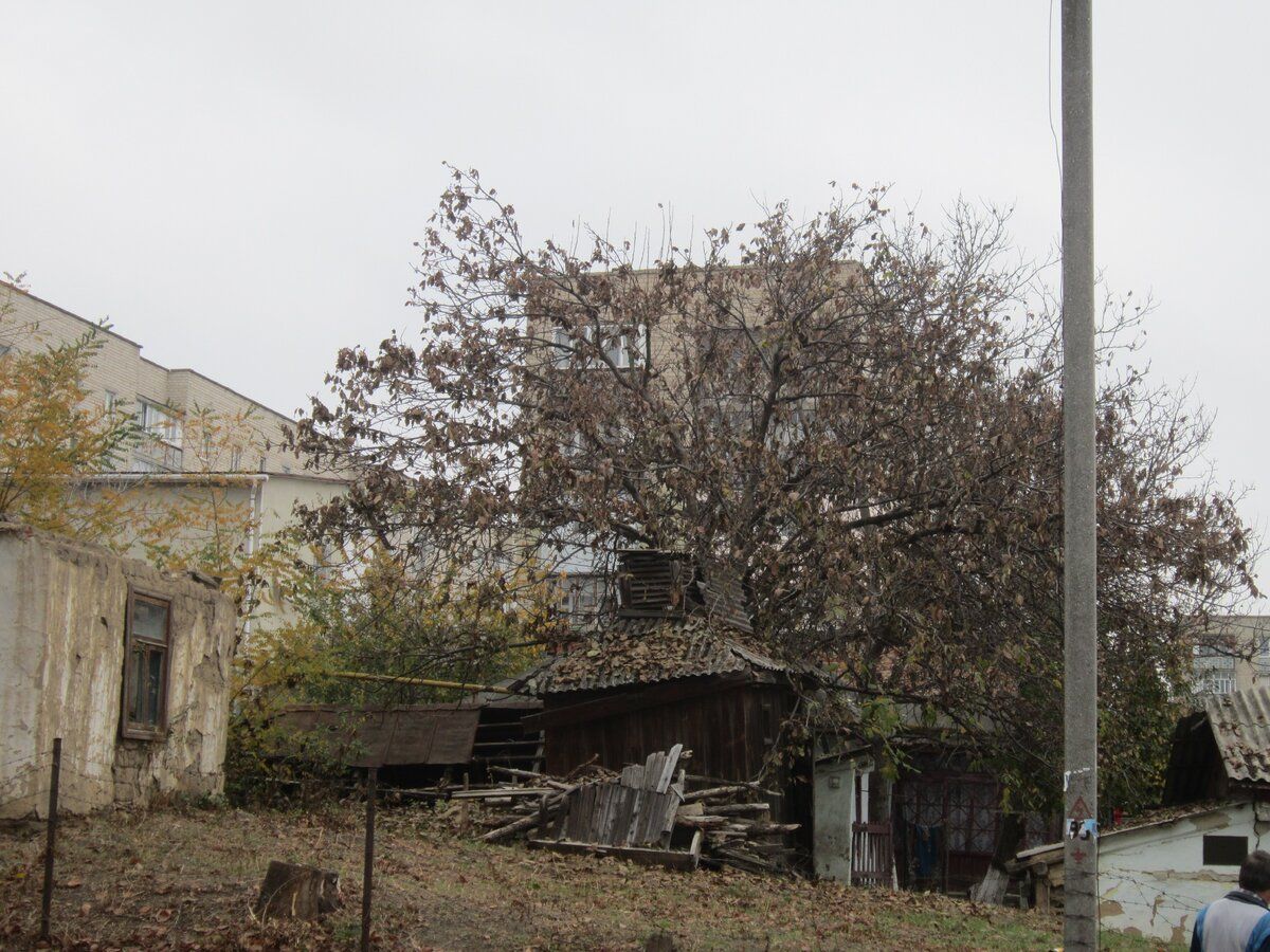 Ghosts sometimes live in old houses