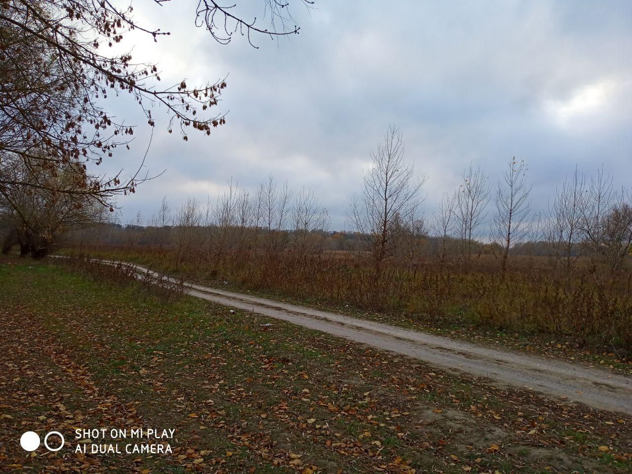 We get through Trinity or Yaski