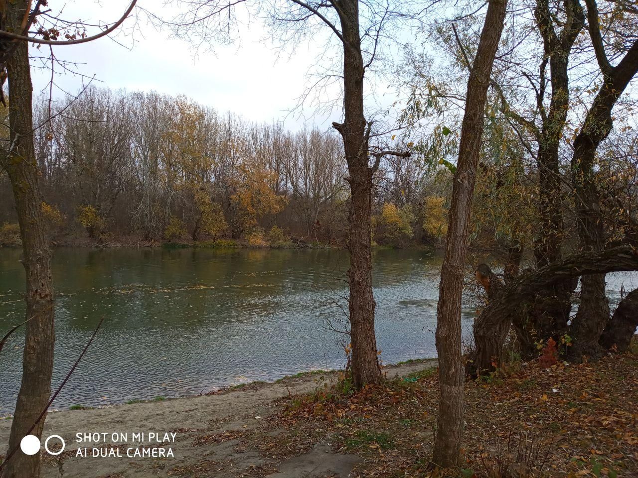 Environmentally friendly and enjoyable vacation on the Dniester in the Odessa region