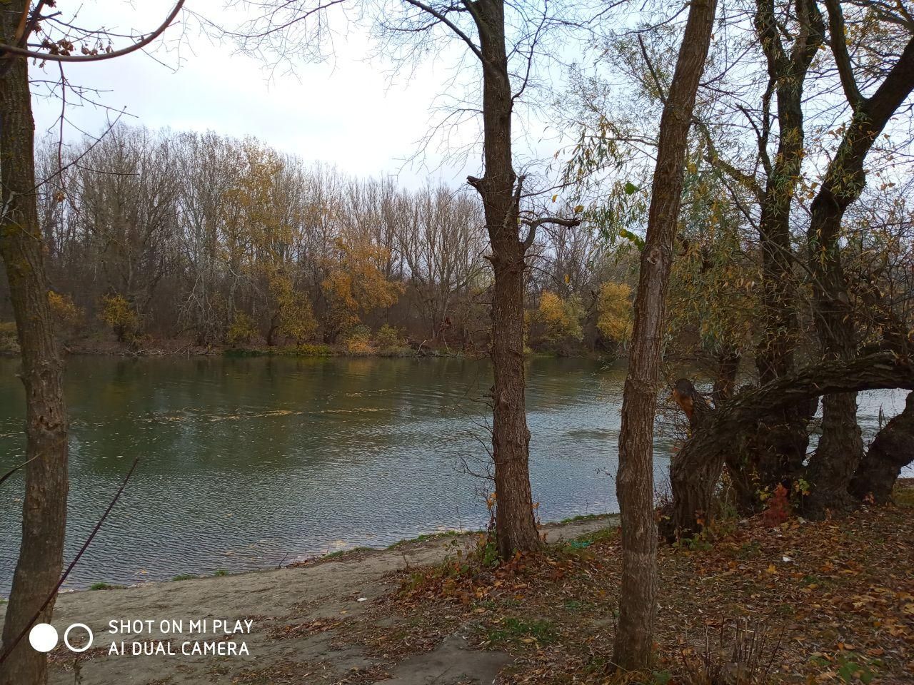 Environmentally friendly and enjoyable vacation on the Dniester in the Odessa region