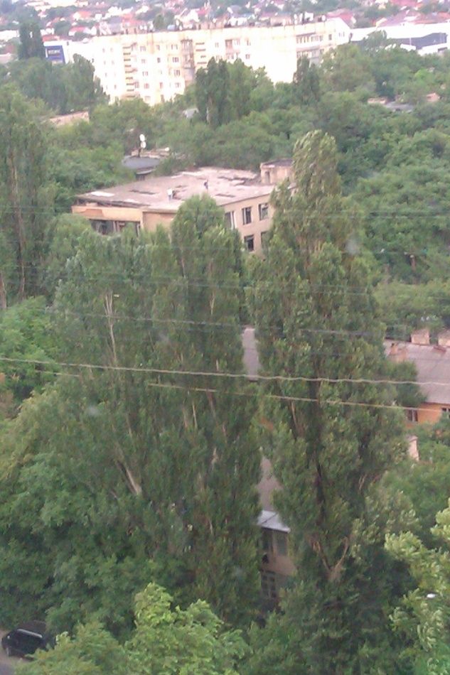 Hospital, garment factory and chaos