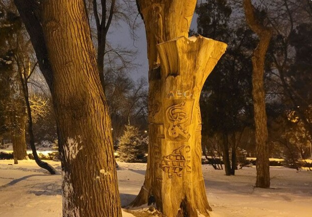 A new attraction has appeared in Odessa: a totem tree