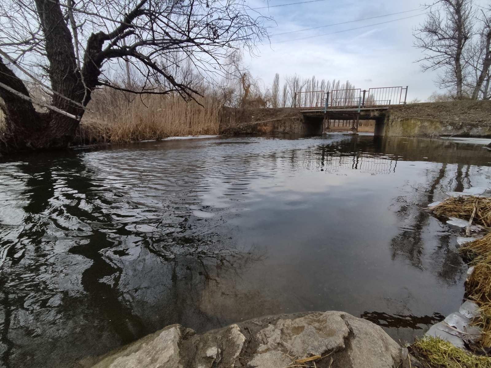 Savranka River: fishing and a luxurious vacation in the bosom of nature