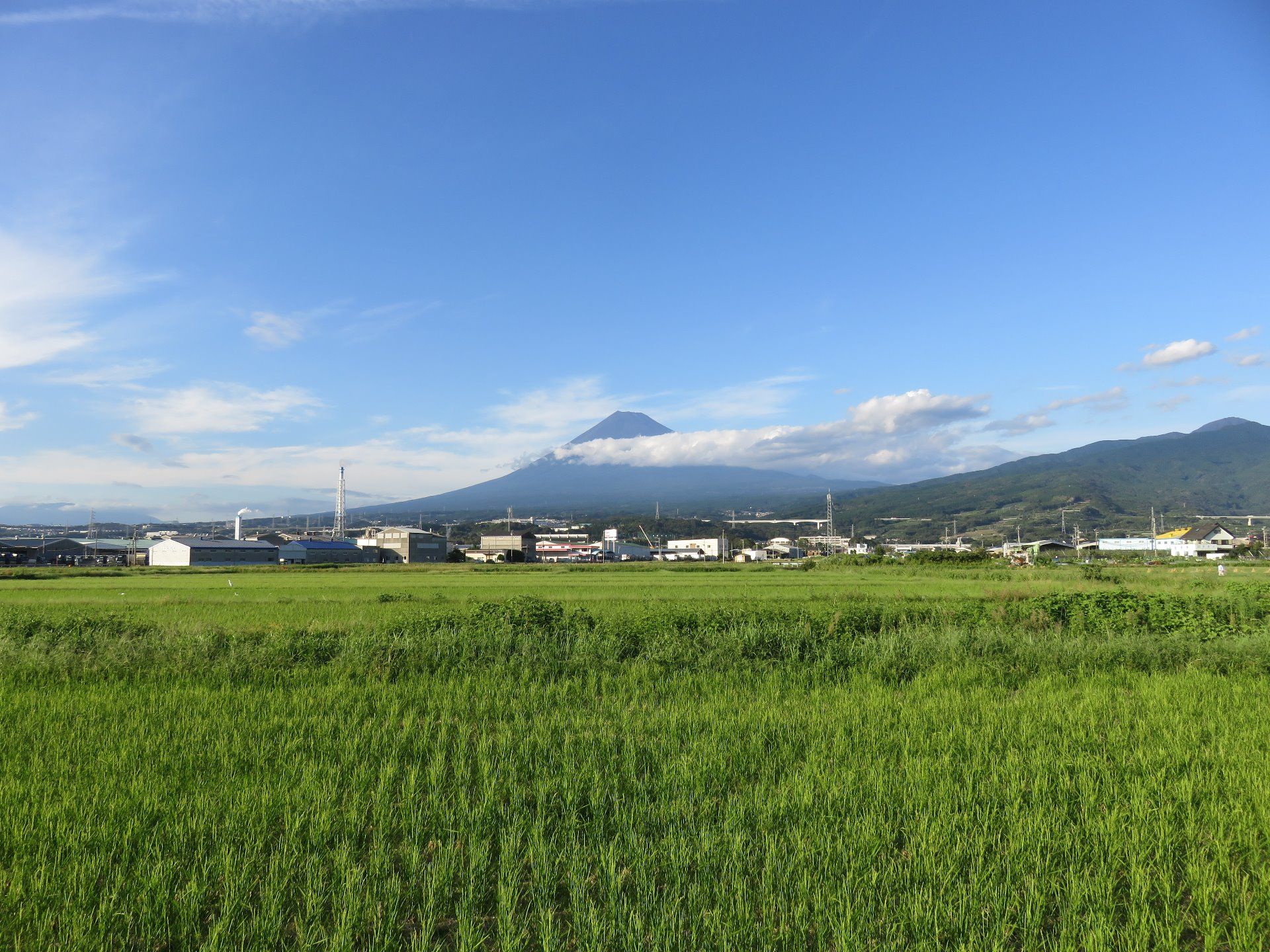 Weekend in Fuji City Getting Temple Stamps.