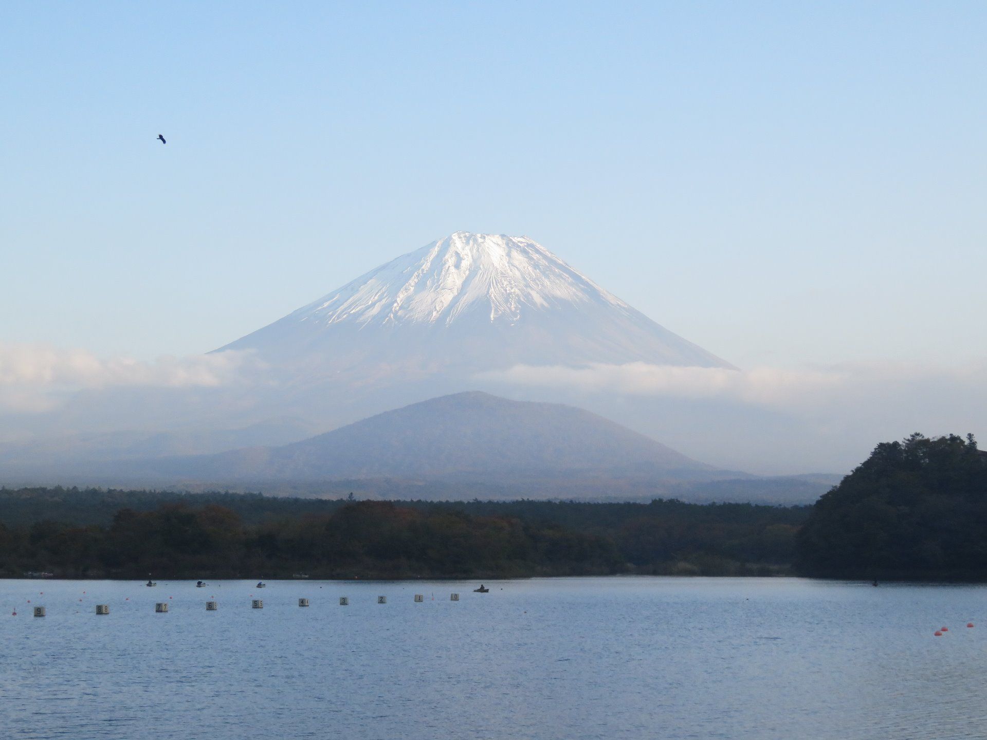 Caves and Fuji Five Lakes