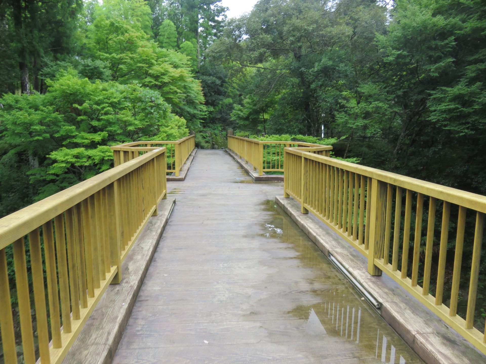 One of the bridges crossing one of the rivers.