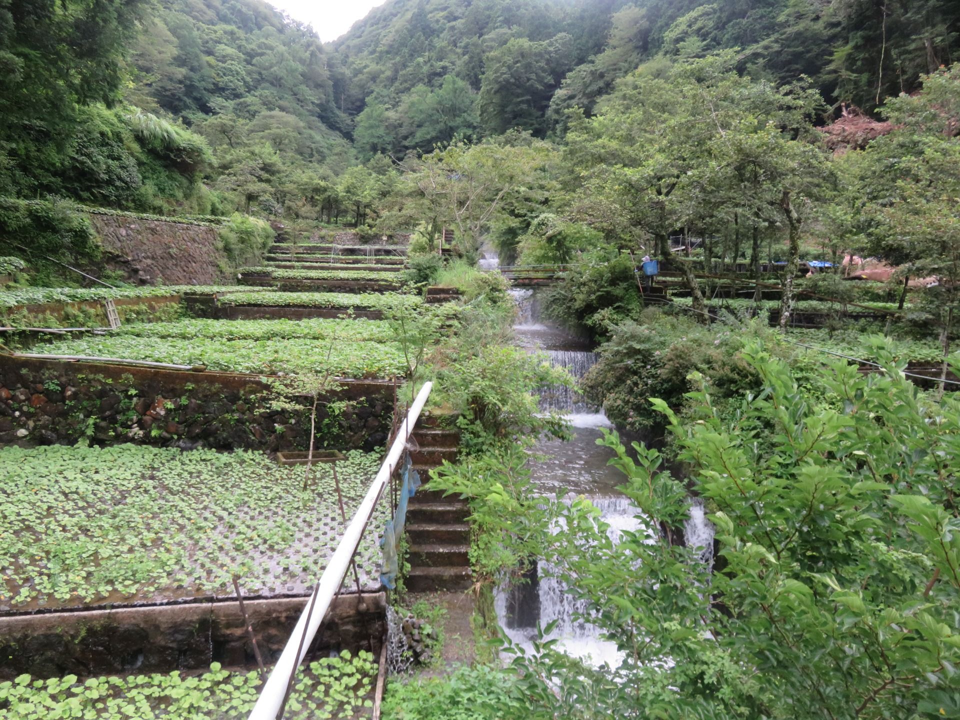 The little river running through the fields.