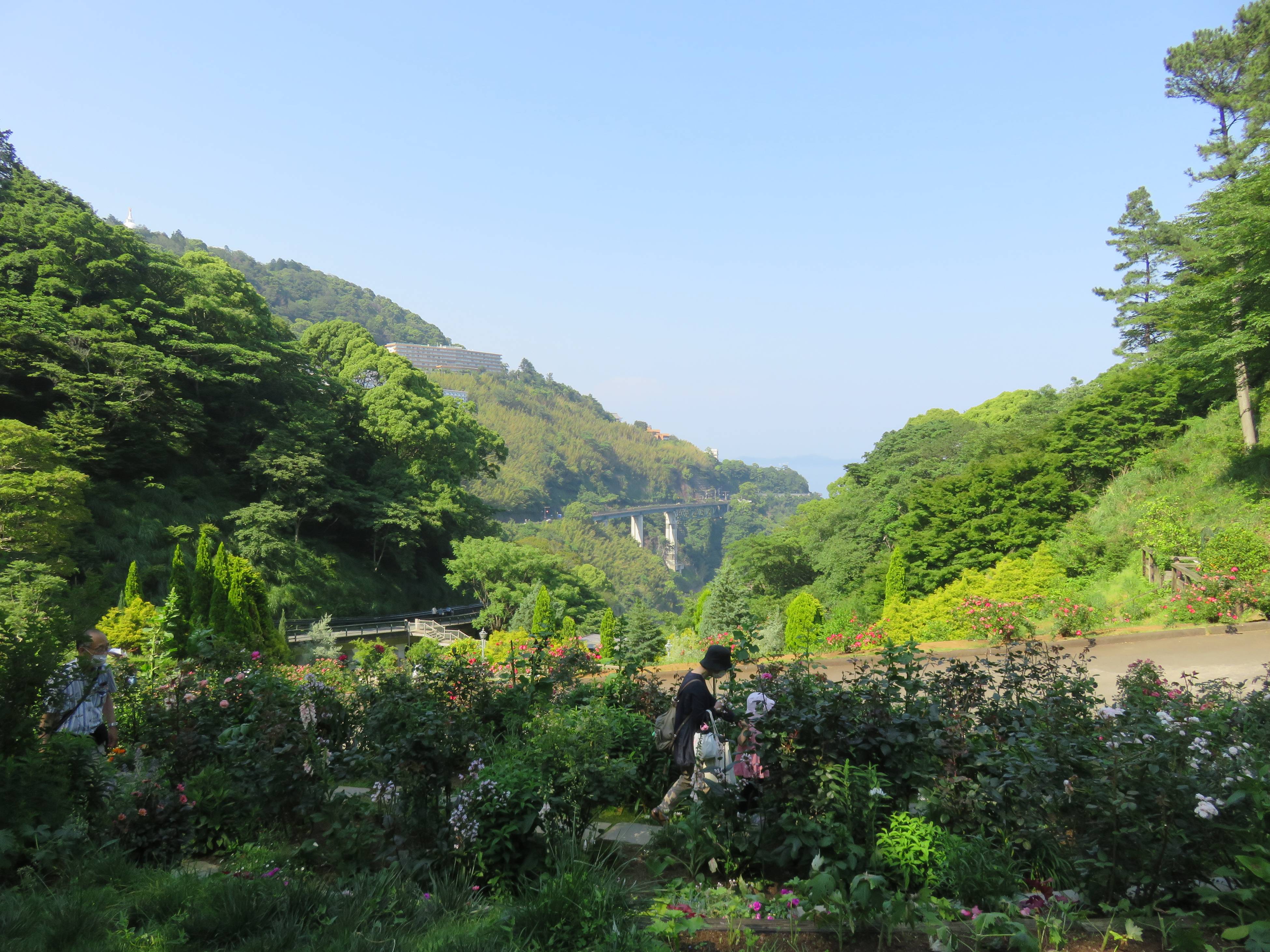 Atami Akao Herb and Rose Garden