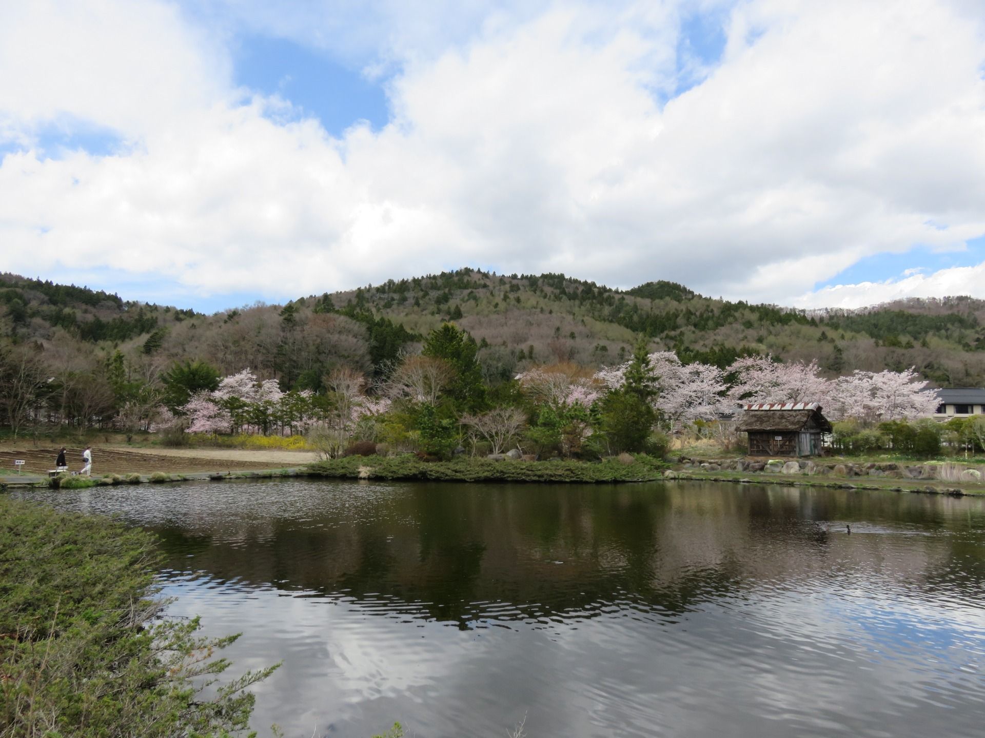 The large pond in the museum grounds