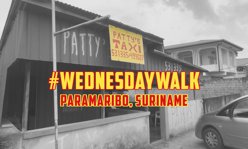 #WednesdayWalk 🚶‍♂️ Paramaribo, Suriname 🦜