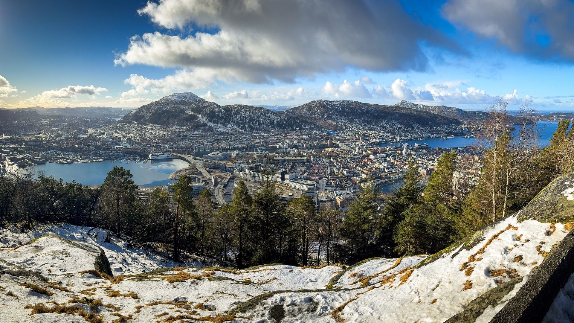 Okolice szczytu Fløyen.