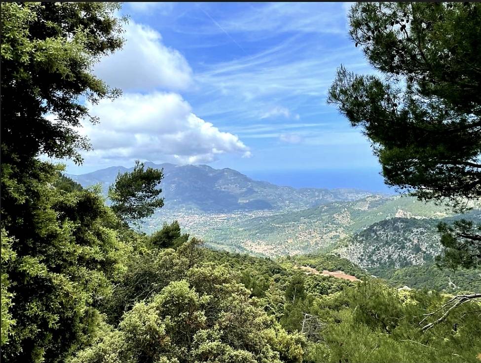 Mallorcan Mountains | What a surprise
