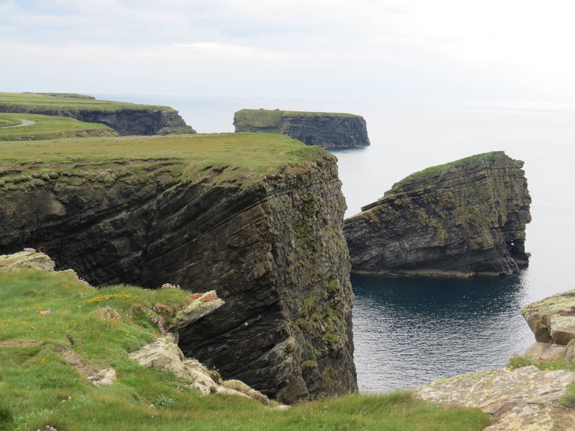 Wild Atlantic Way. Klify w Kilkee w Irlandii, skałoczepy, wąsonogi i inne oceaniczne osobliwości.