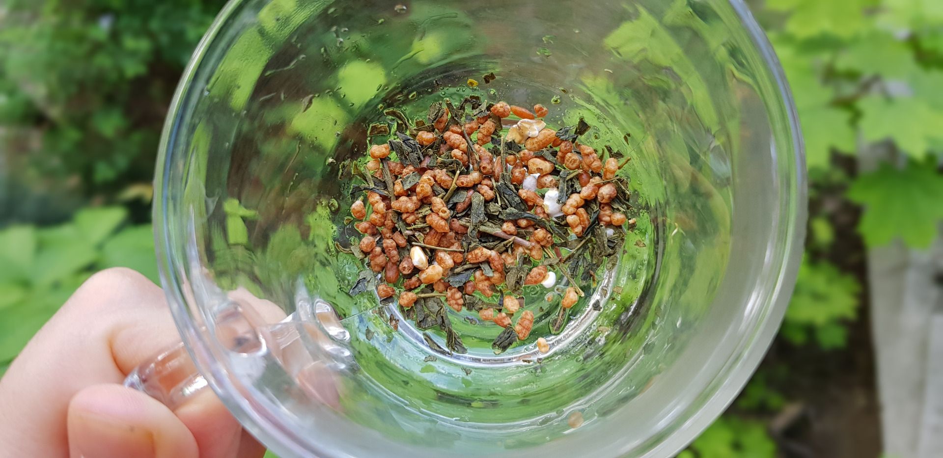 herb.jpg