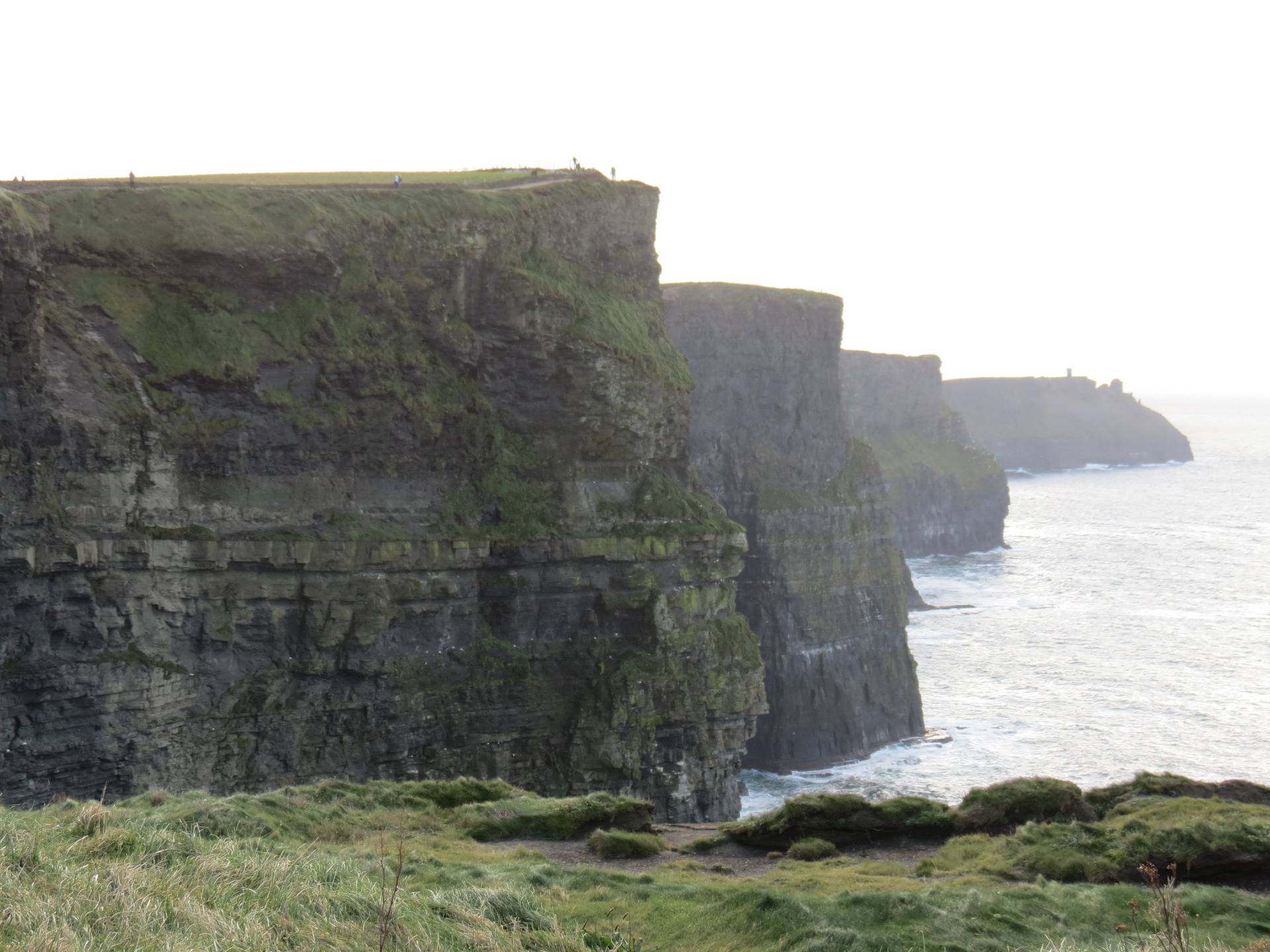 Cliffs of Moher, see one of the most impressive cliffs in the world