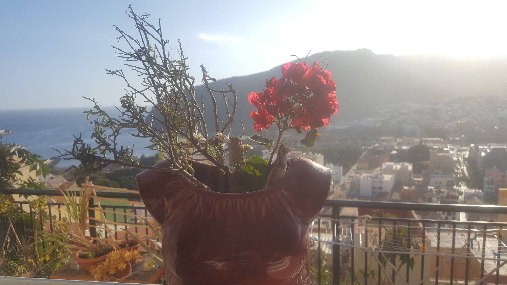 How to decorate a vase in the shape of a female breast? In a rented apartment in Gomera.