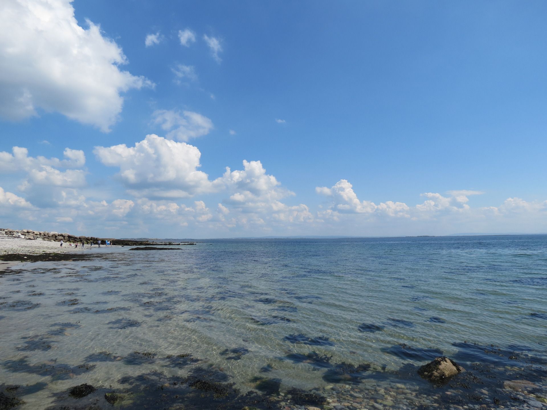 IMG_6034.JPG