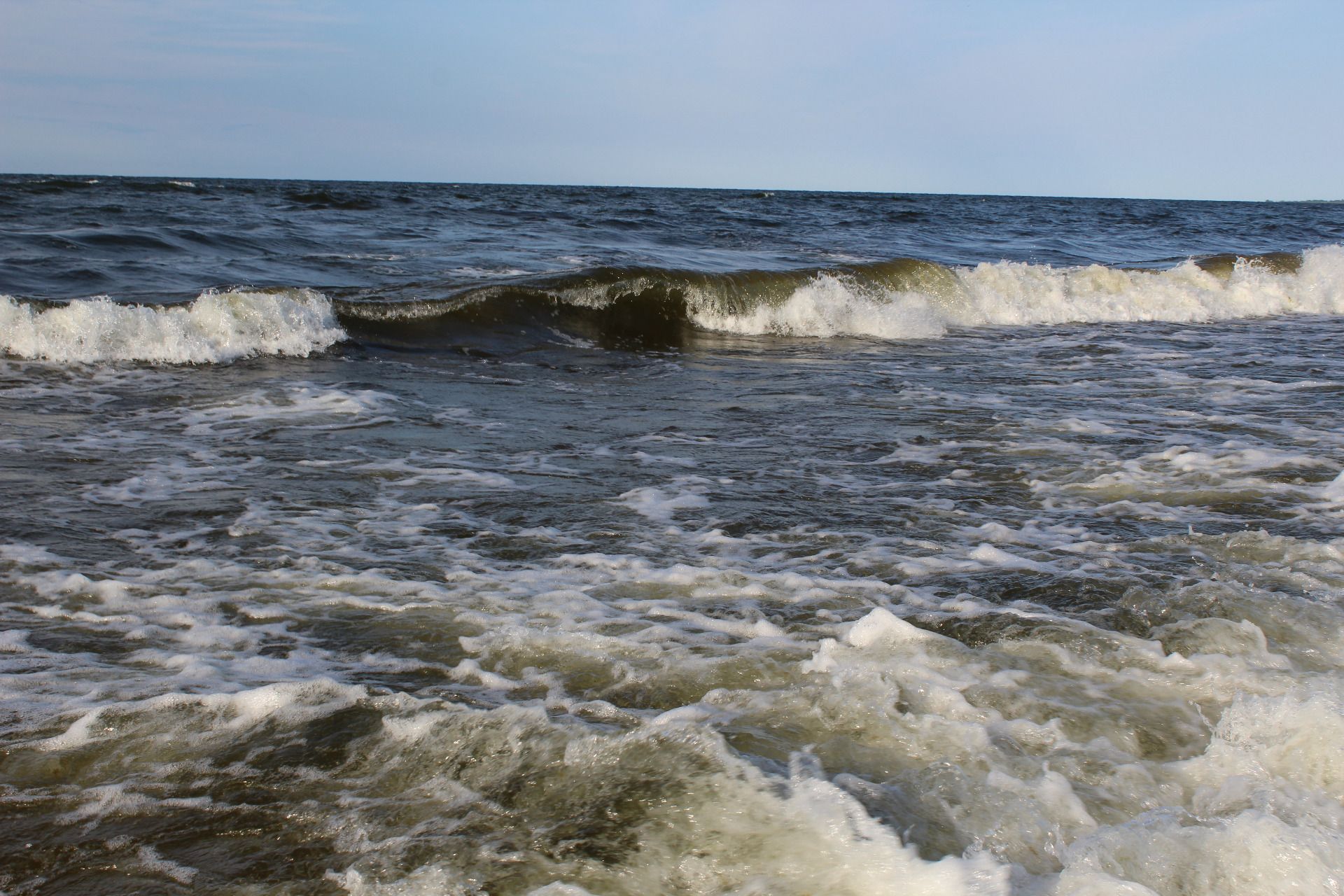 IMG_8724.JPG