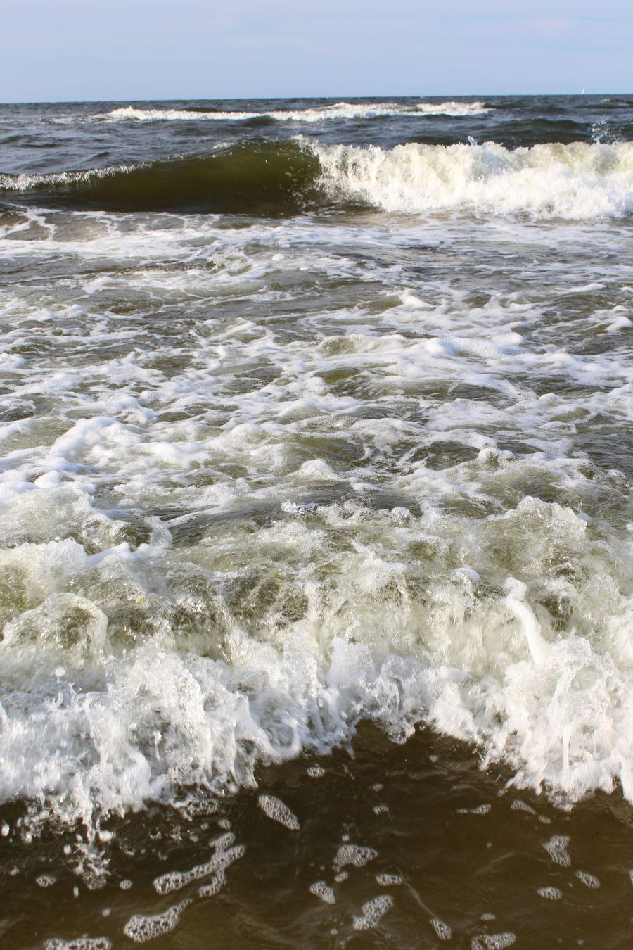 IMG_8726.JPG