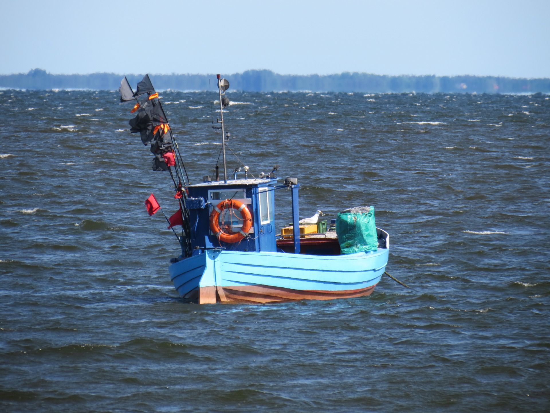 IMG_8881.JPG