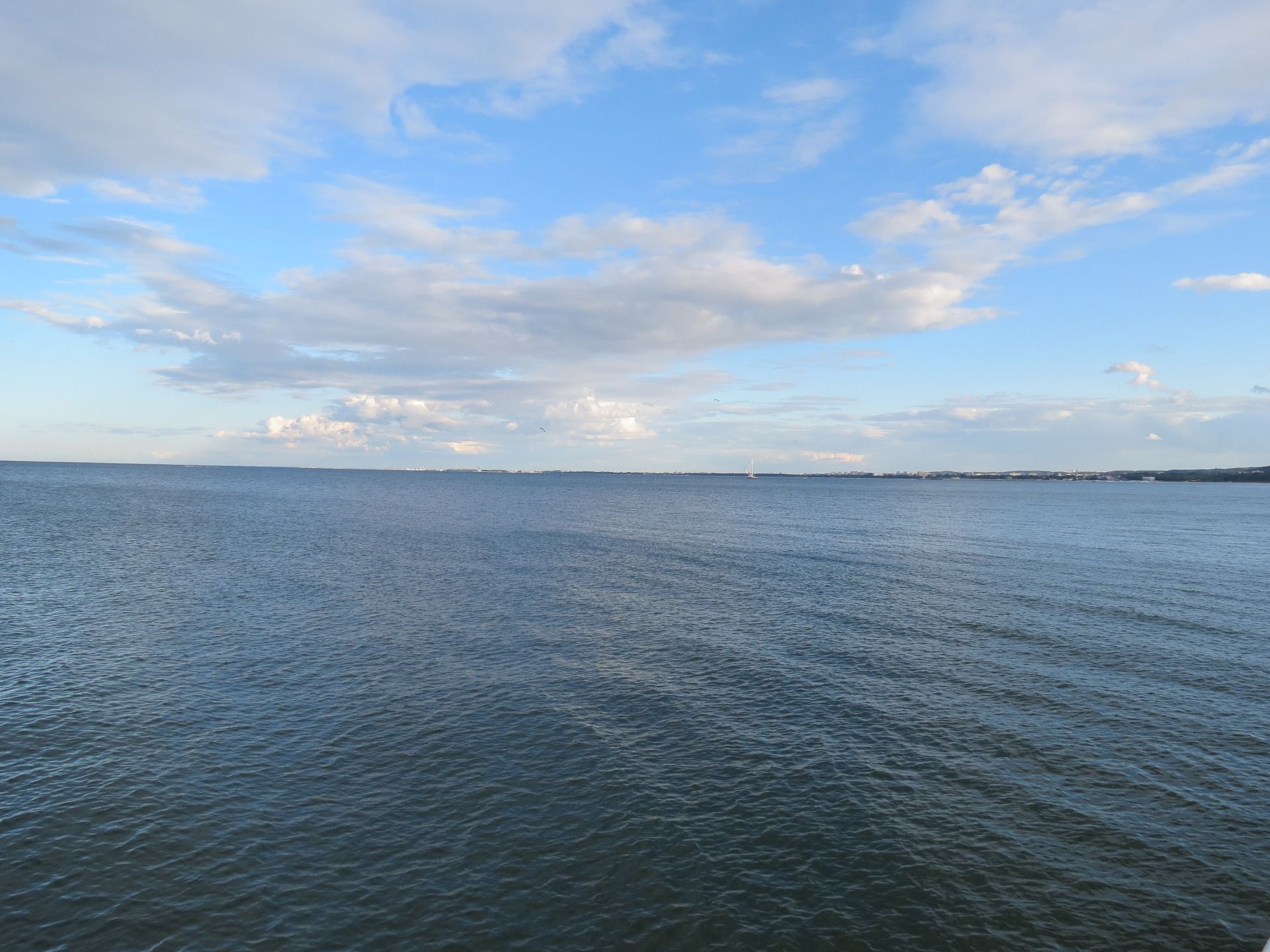 IMG_8246.JPG