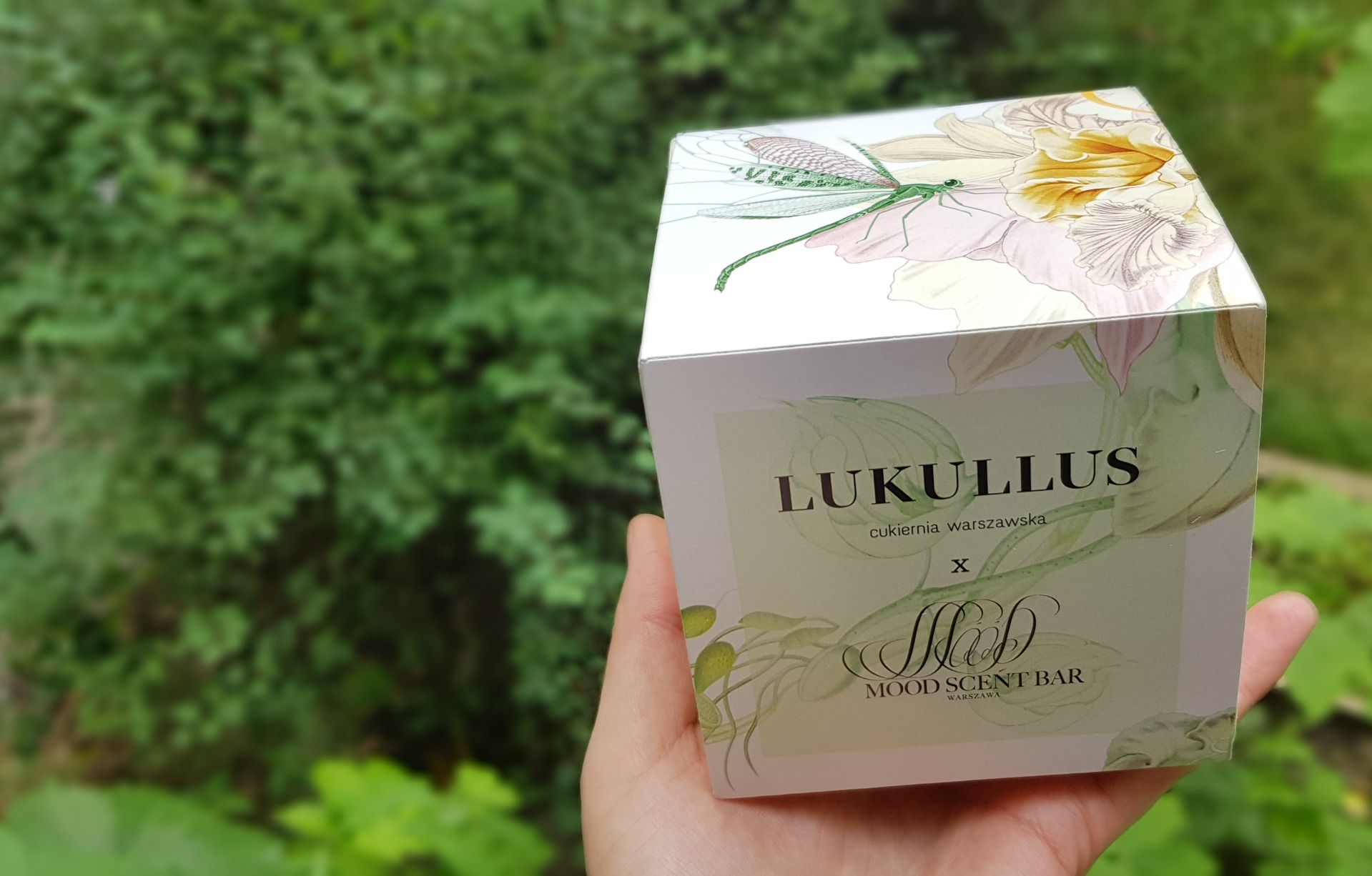 luku.jpg