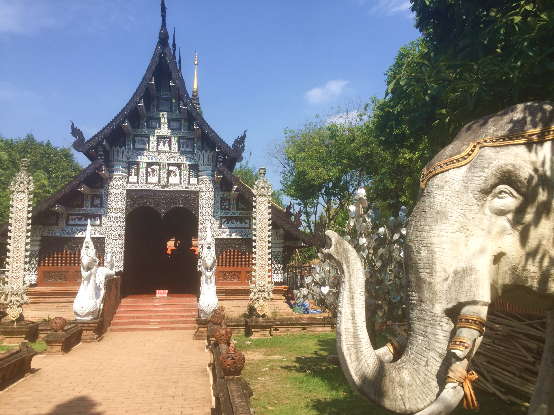 Make a wish on the silver or gold trees at Wat Lok Molee