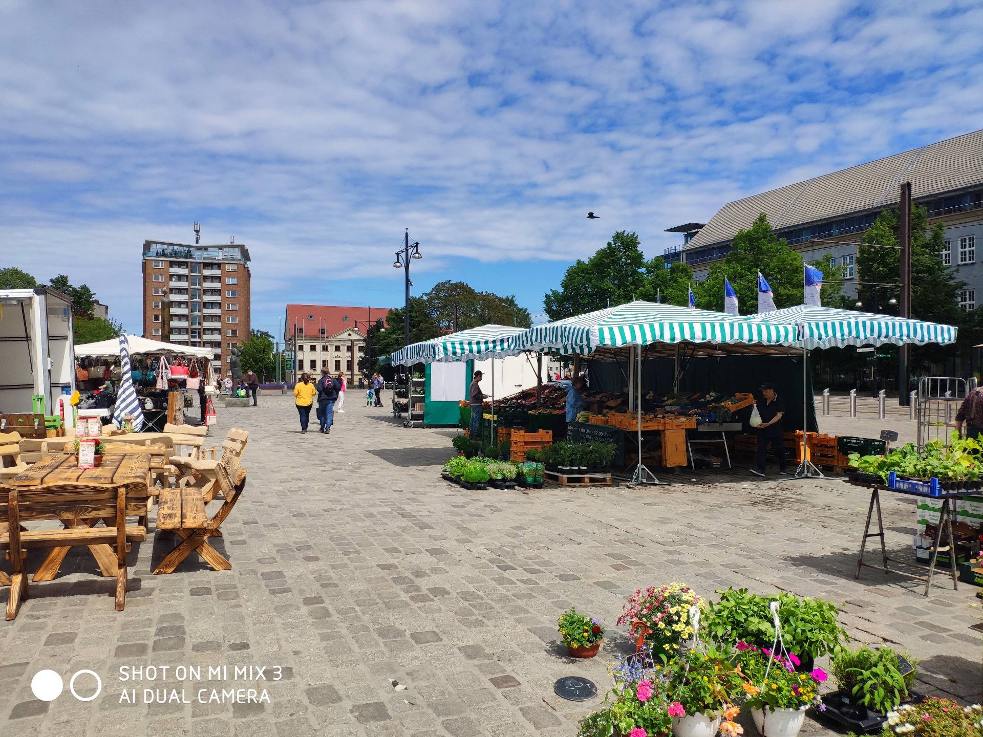 A colourful weekly market in the heart of the Hanseatic city 