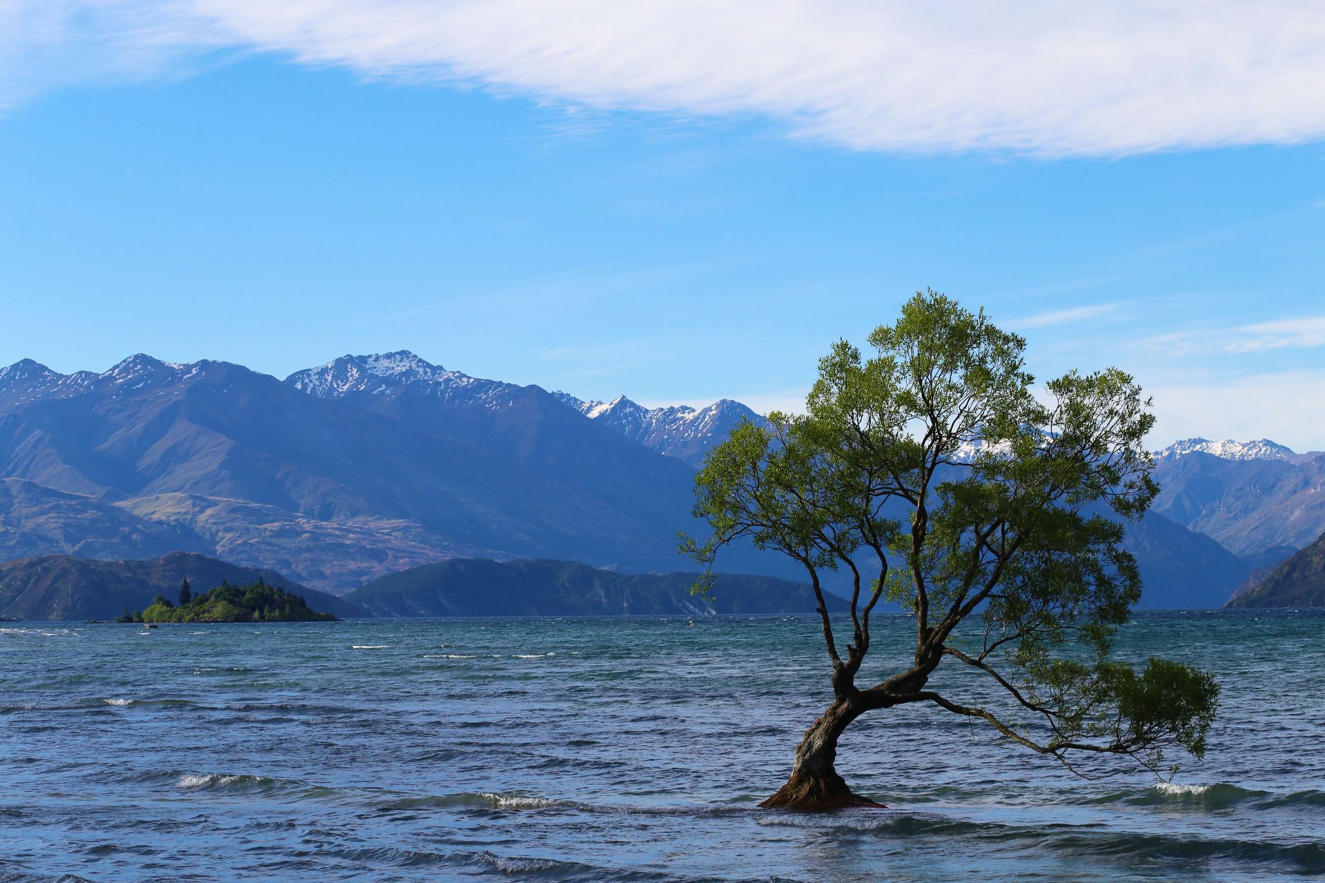 Nice view of the Wanaka Tree 