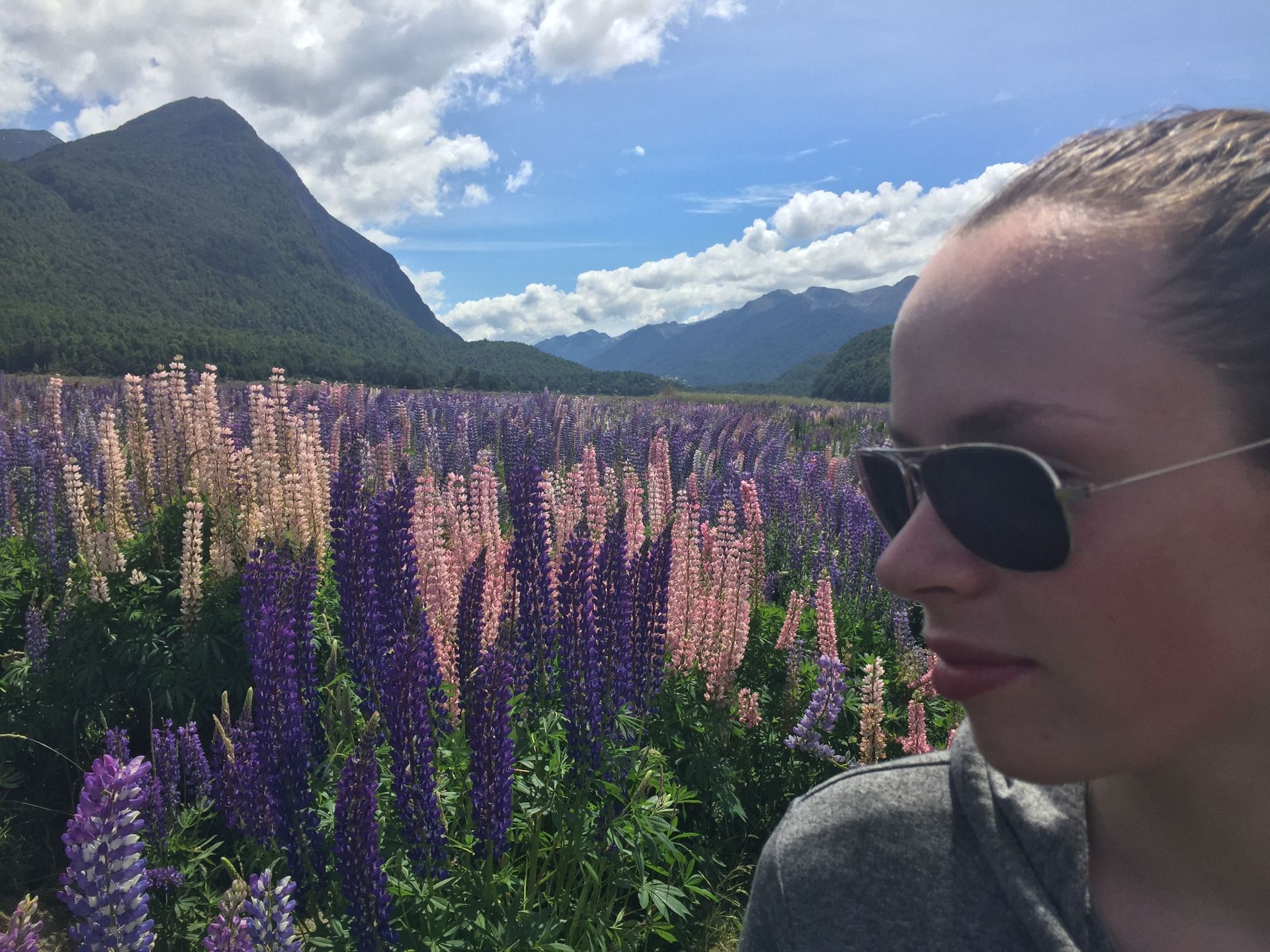 My sunkissed sister in front of a colorful lupin field ;) 