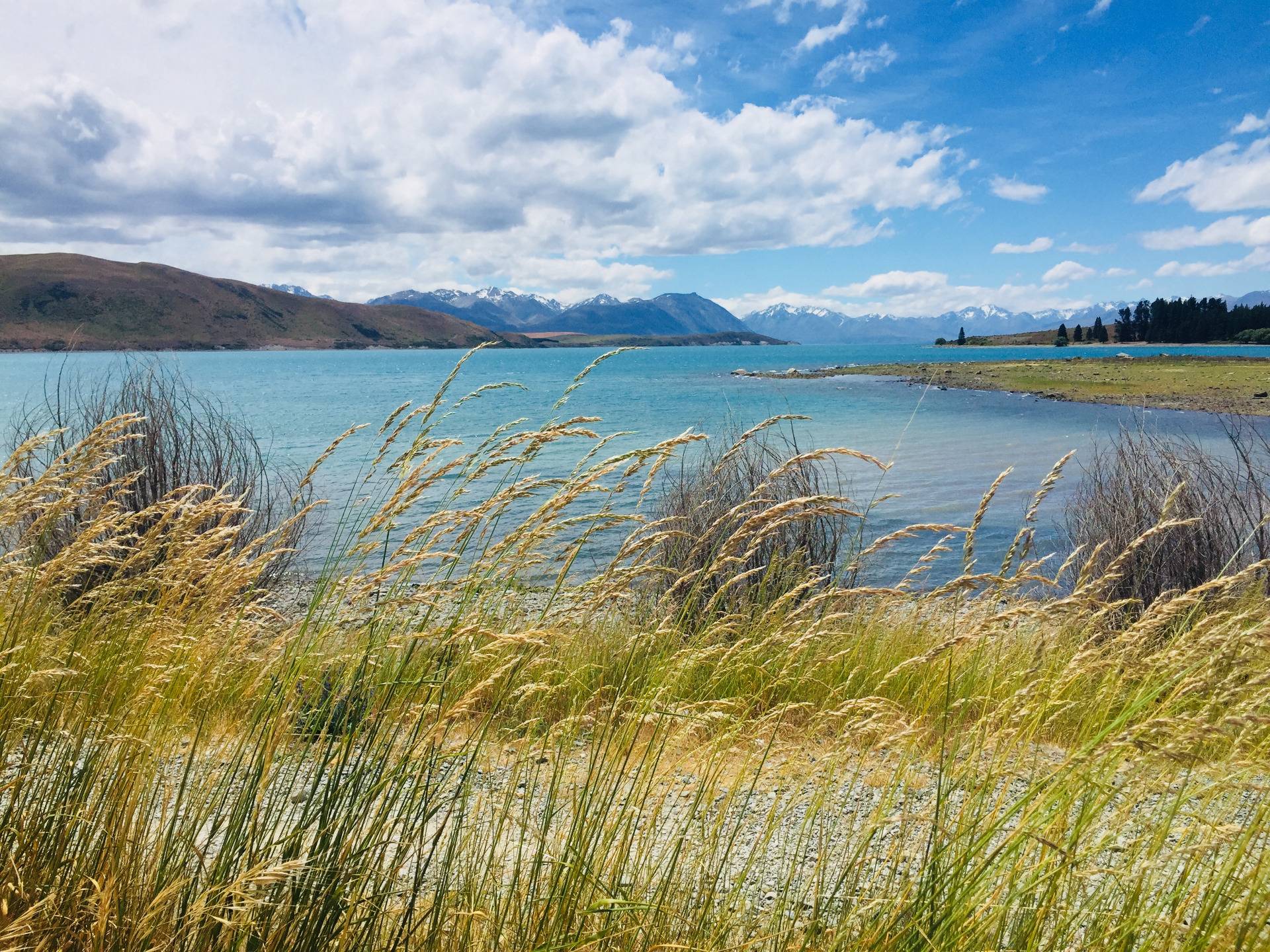 Some tips to visit the greatest spots at Lake Tekapo 