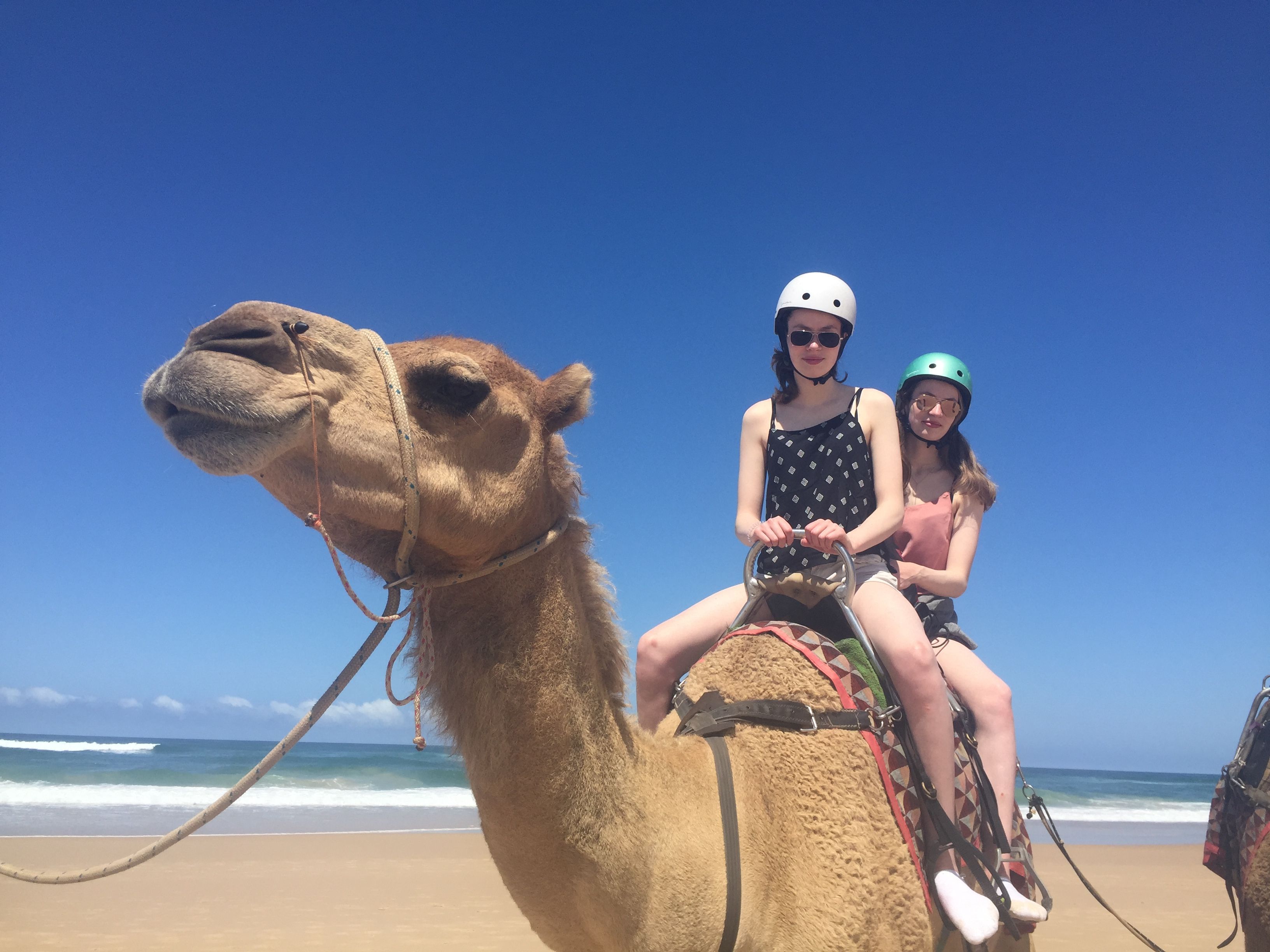 We did a camel ride along Lighthouse Beach!