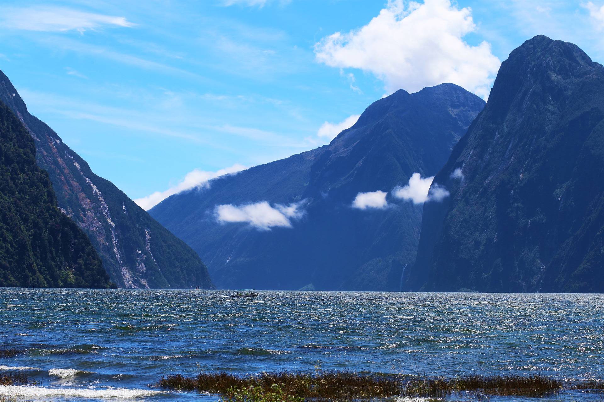 Amazing landscape at Milford Sound in New Zealand  