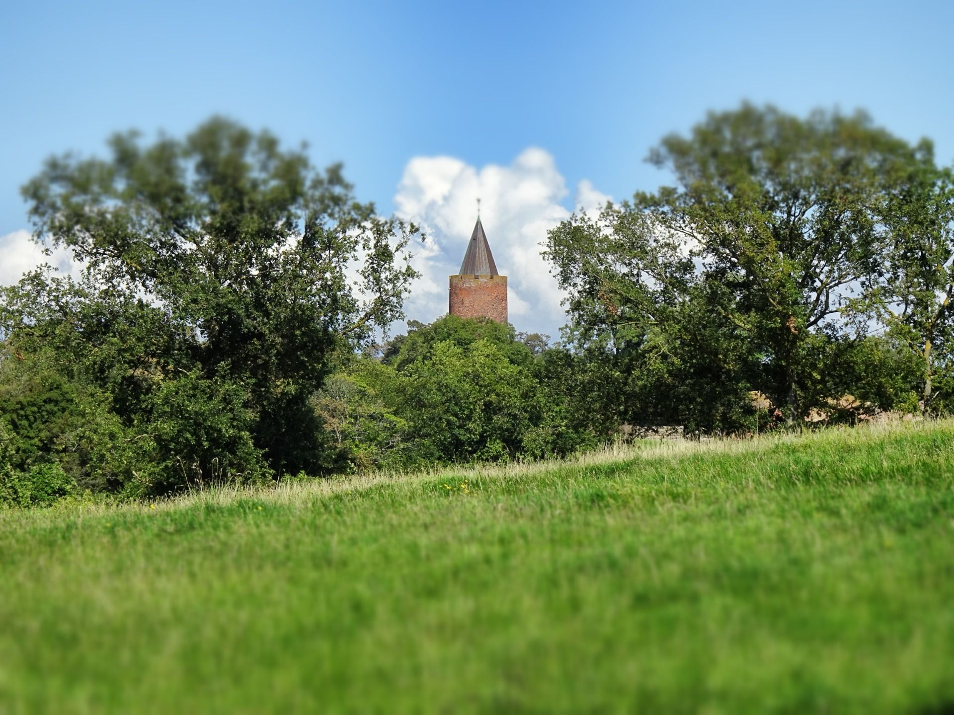 The birds tower