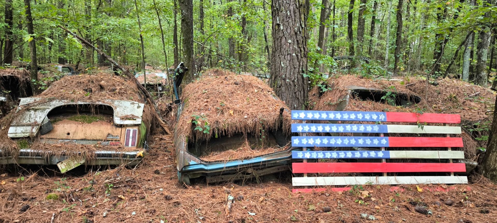 Deep in the wood are rusty cars. And an American Flag