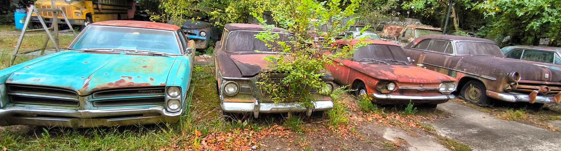 Old Car City: The rusty Steel Forest 
