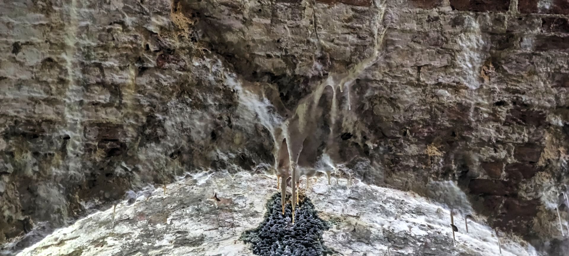Real stalactite