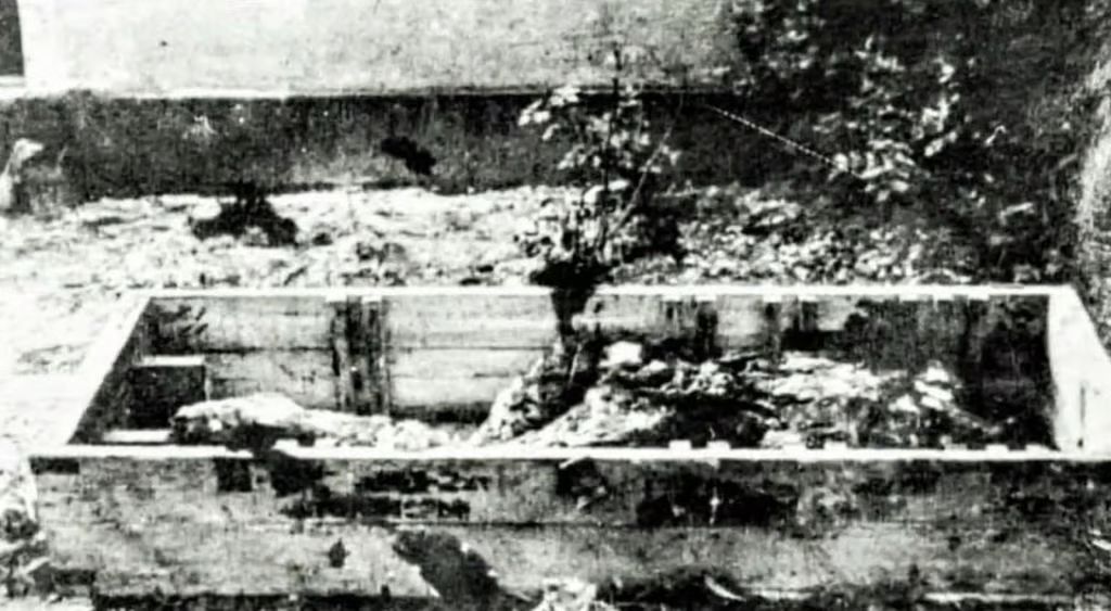 Hitlers remains, picture made by soviet soldiers